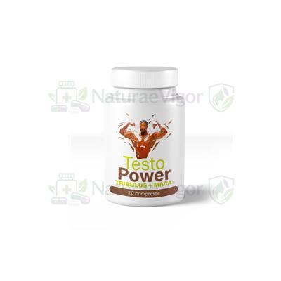 Testo Power