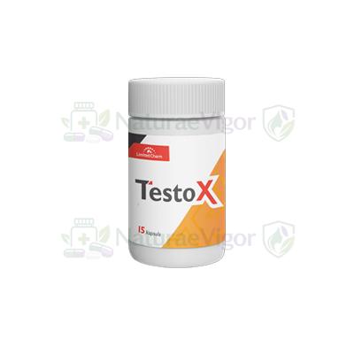 TestoX